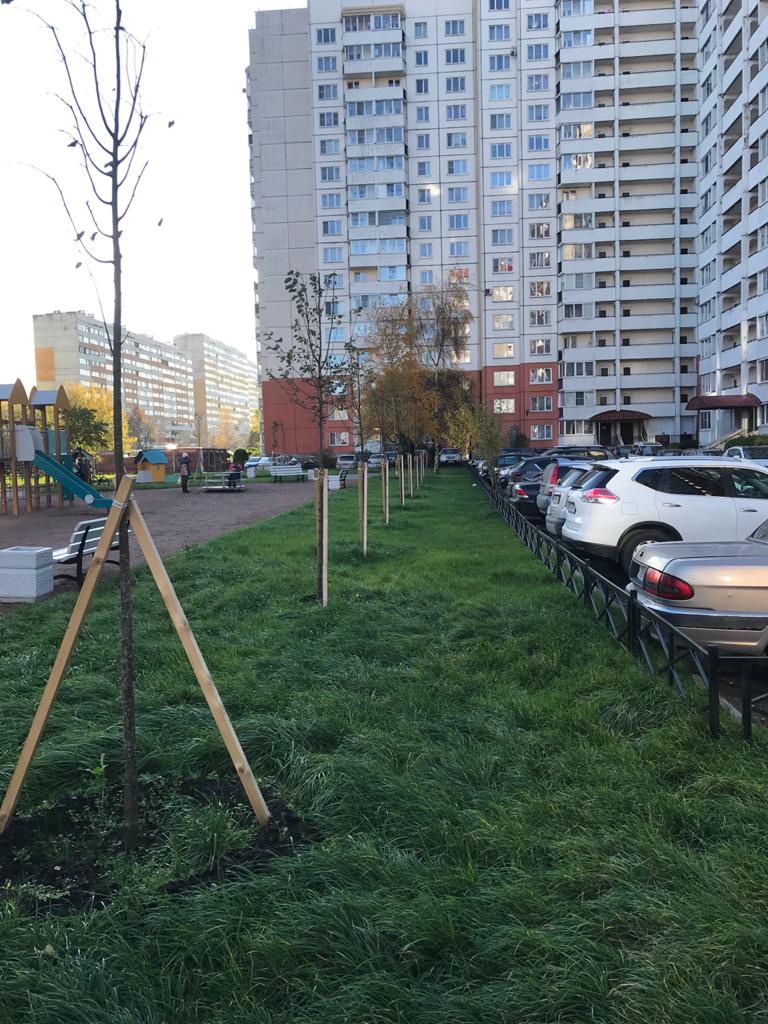 Доблести 28.jpg Доблести 28.jpg