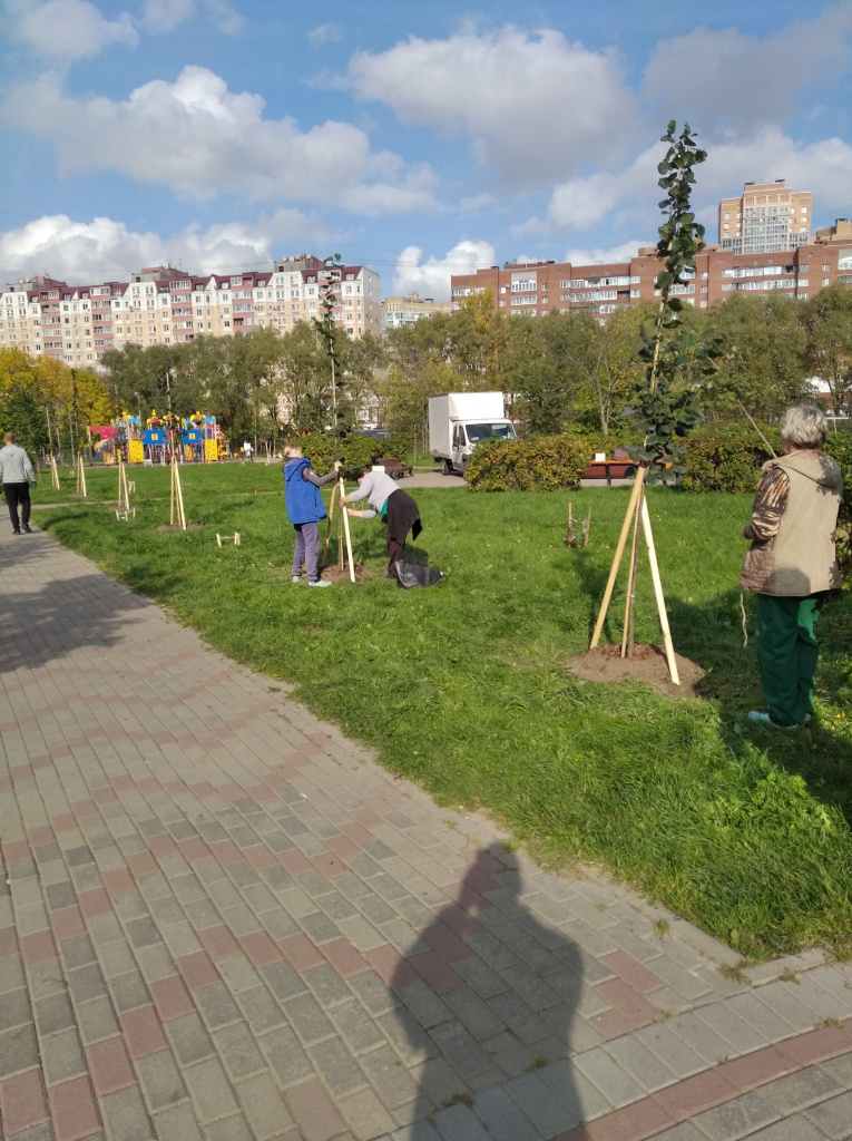 photo-1601462087000.jpg