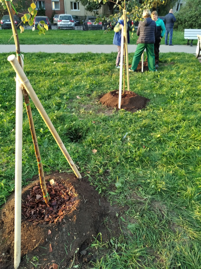 photo-1601476964816.jpg